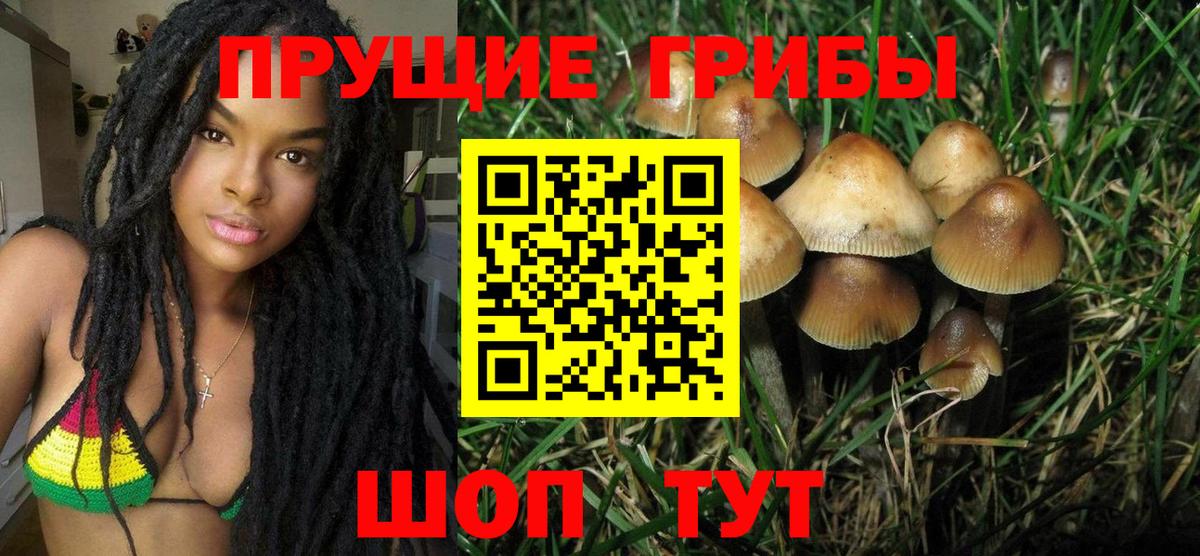 Галлюциногенные грибы Magic Shrooms  Вход с VPN  Павловский Посад 